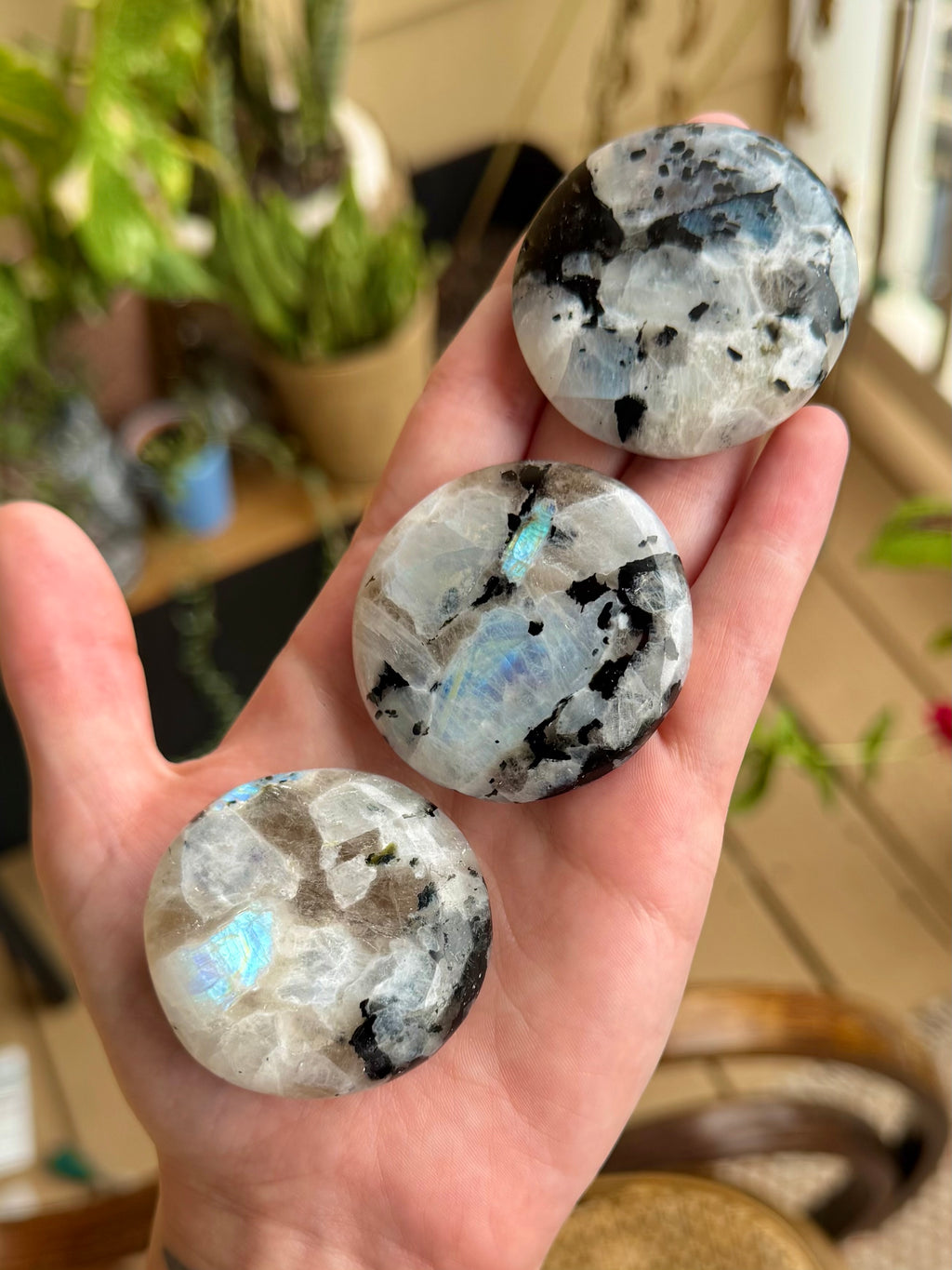 Rainbow Moonstone Palm Stone