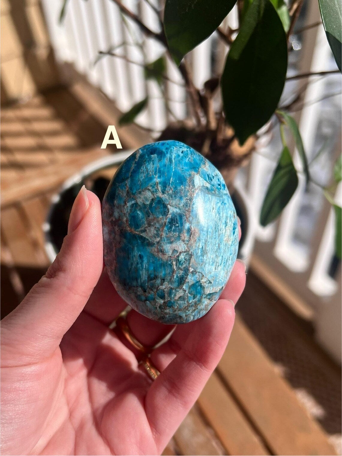 Blue Apatite Palm Stones