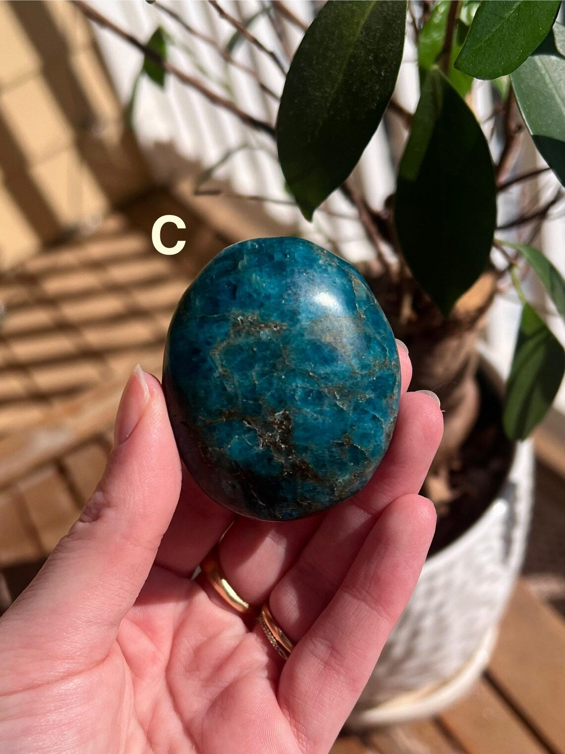 Blue Apatite Palm Stones