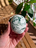 Tree Agate Palm Stones