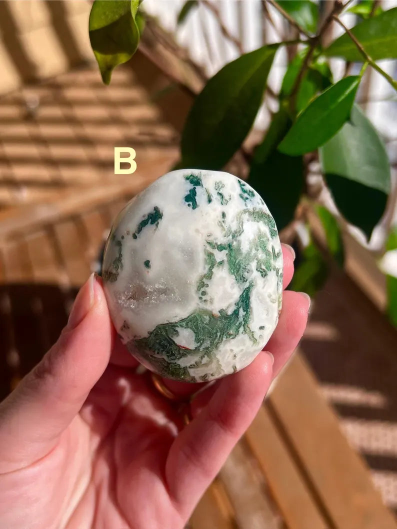 Tree Agate Palm Stones