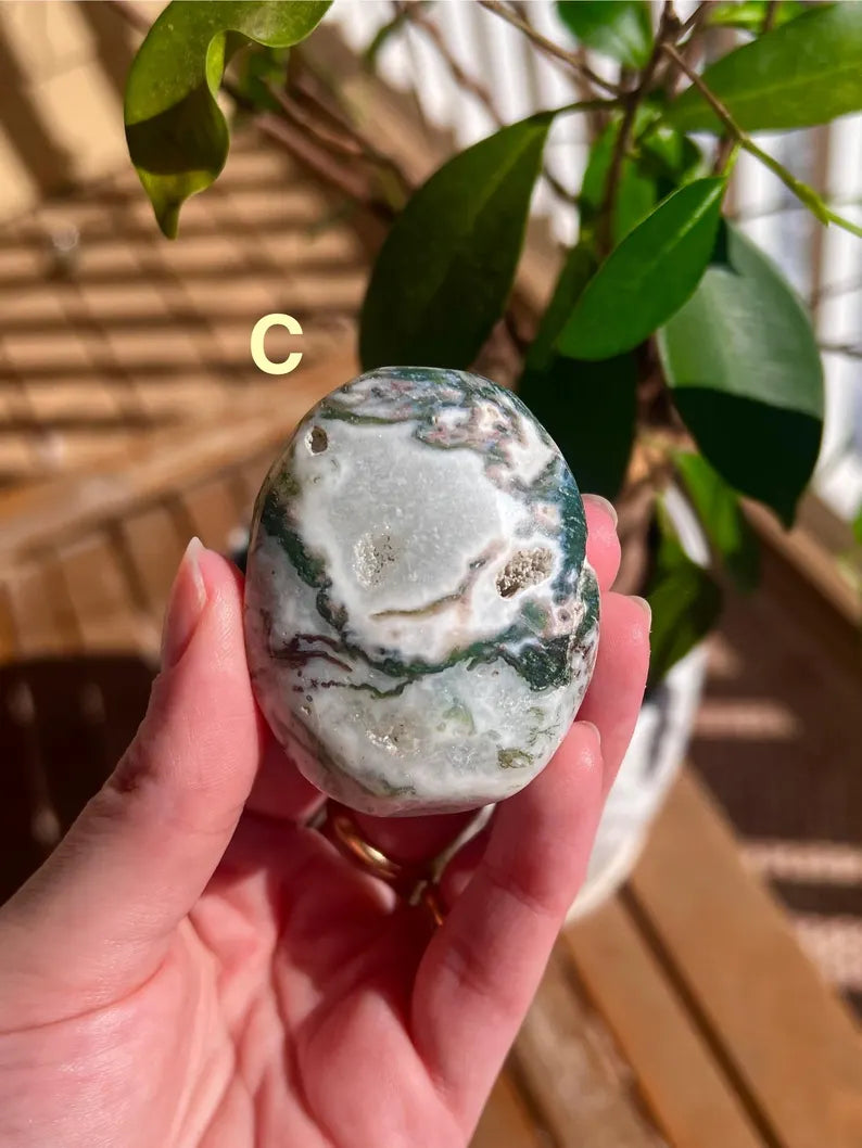 Tree Agate Palm Stones