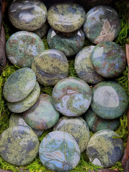 Moss Agate Palm Stone